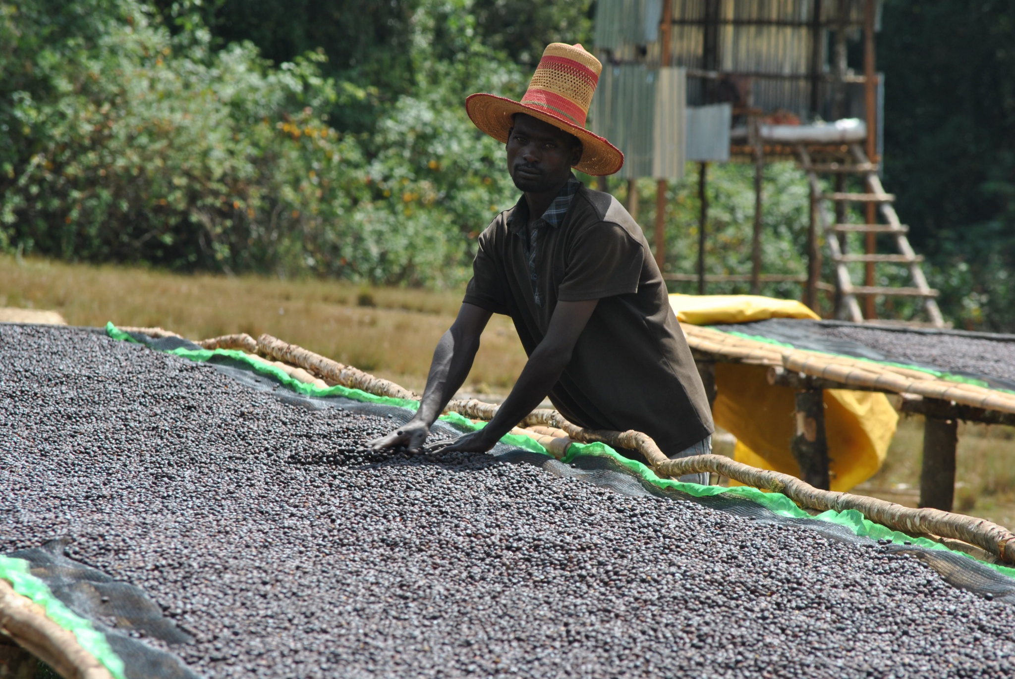 
          Fairtrade international créé deux fonds pour €3,1 millions pour soutenir ses producteurs