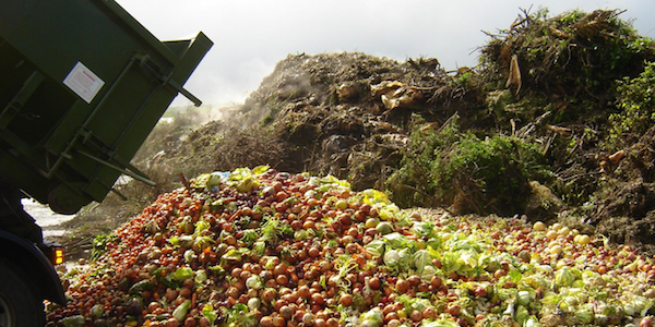 
          Les impacts de la COVID-19 sur la production agricole en Afrique: La gestion des ravageurs en période de pandémie 