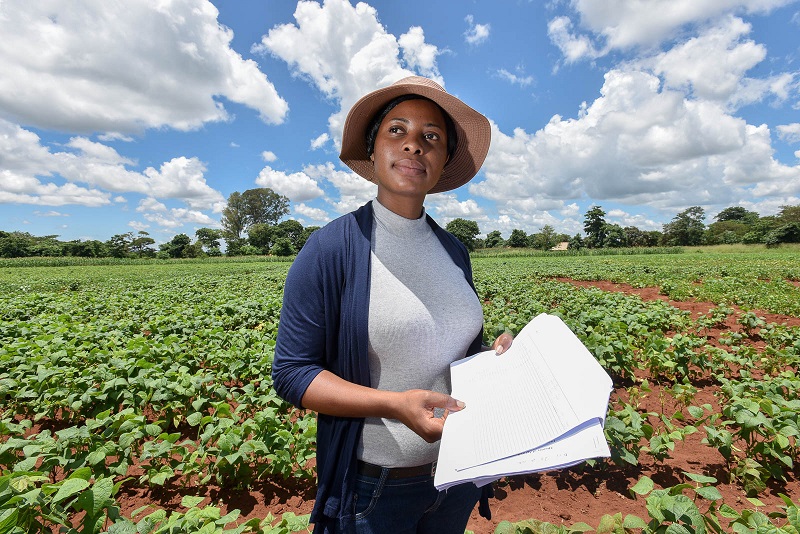 
          Les impacts de la COVID-19 sur la production agricole en Afrique: Limitations des services d’appui-conseil et de vulgarisation 