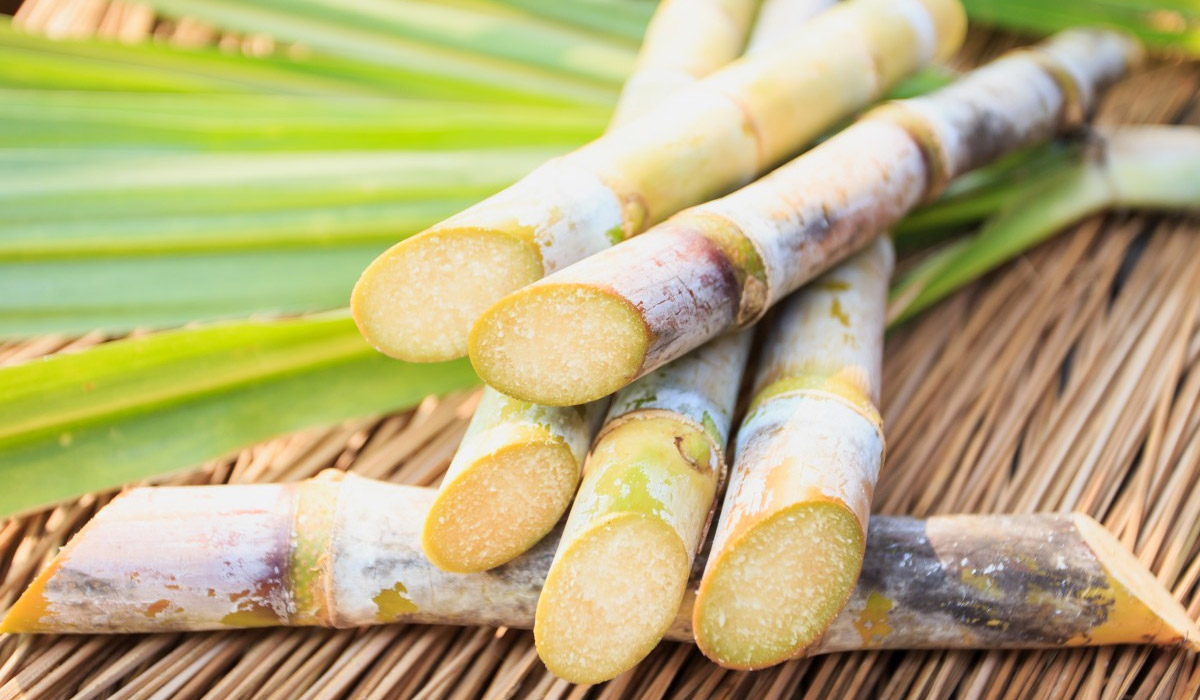 
          [Chronique] Les matières premières agricoles: Le sucre au 11 juin 2020