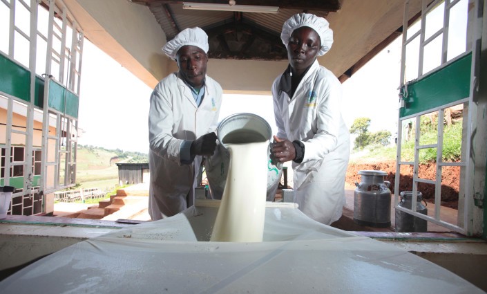 
          Inquiétude sur le développement de la filière du lait en Afrique de l'Ouest 