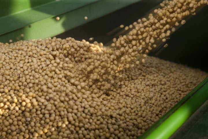 
          Transformation de soja au Ghana: Dragon Farming Limited obtient un financement de la ABC Fund finance 