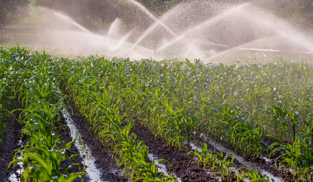 
          ADOPTER L’IRRIGATION EN AGRICULTURE  POUR S'ADAPTER AU DÉRÈGLEMENT CLIMATIQUE 