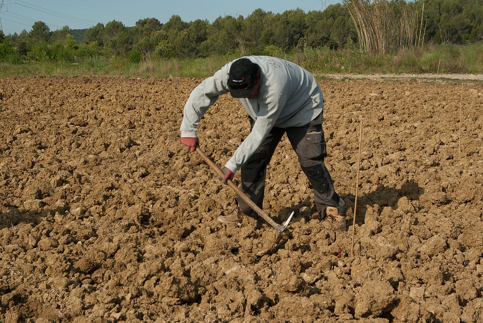 
          LE MÉTIER D’AGRICULTEUR : S’ADAPTER AUX PROFONDES TRANSFORMATIONS DU SECTEUR