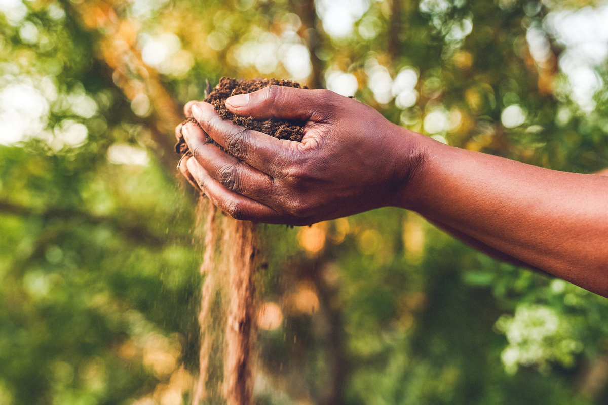 
          ACCOMPAGNER LA TRANSITION AGRICOLE EN CHANGEANT  NOS HABITUDES QUOTIDIENS  