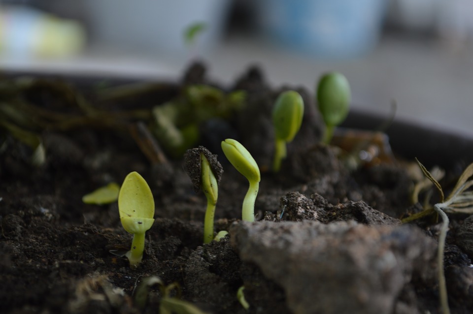 
          L’agriculture biologique s'impose-t-elle à nous ?