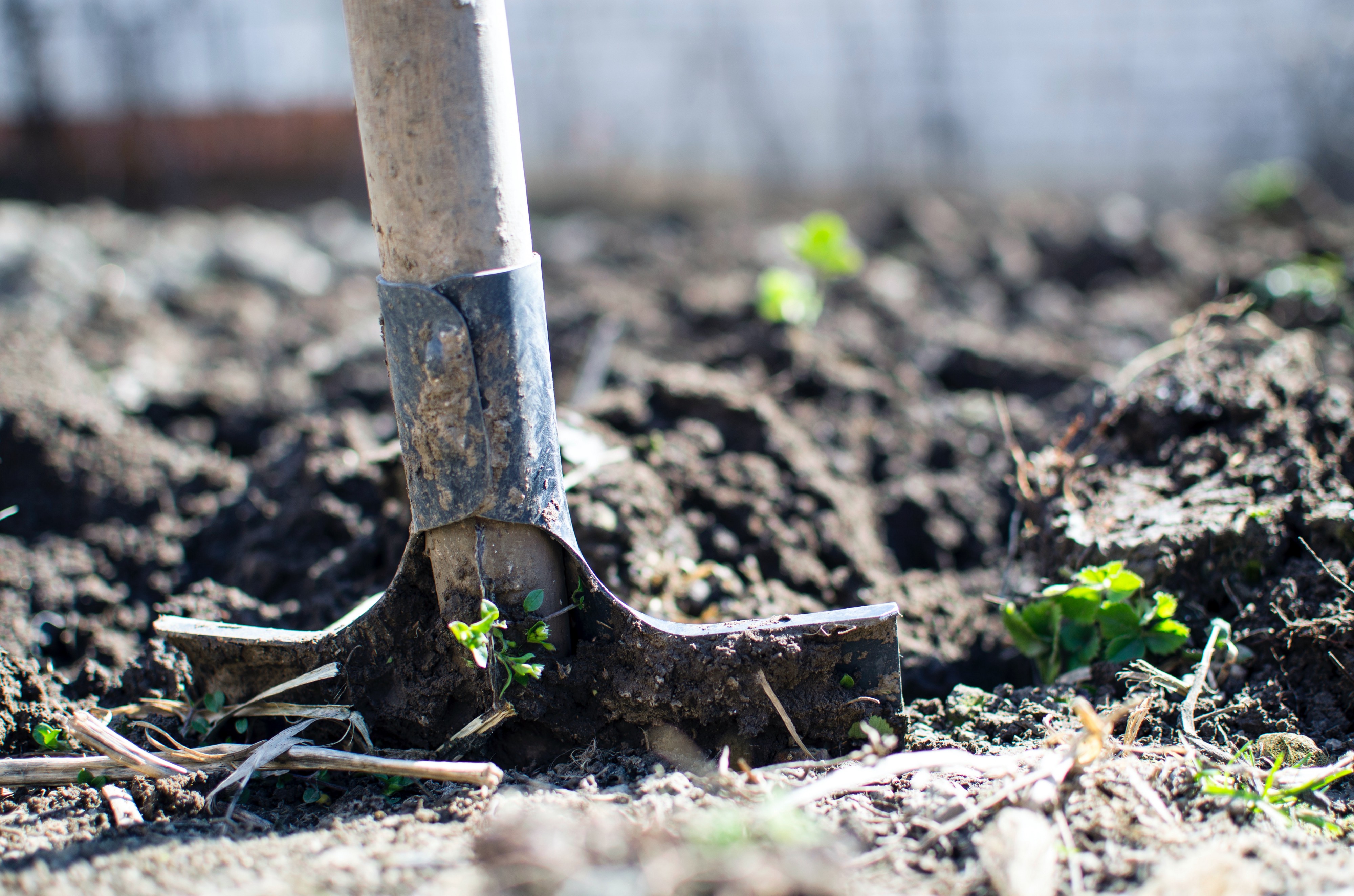 
          GESTION DES SOLS POUR UNE AGRICULTURE DURABLE  