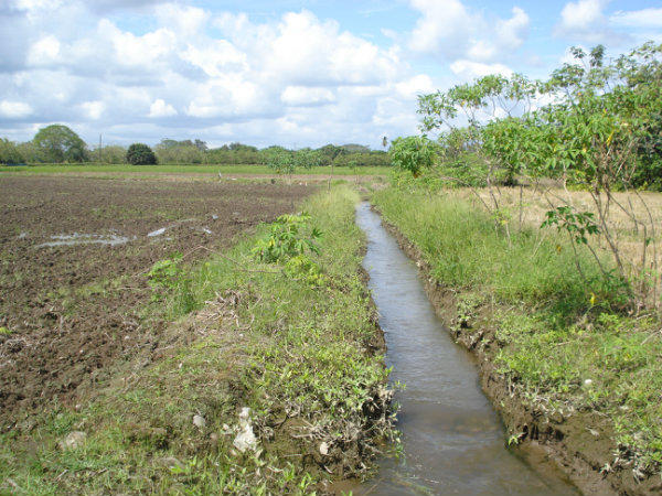 
          LES COMPOSANTES IMPORTANTES DU DRAINAGE AGRICOLE 