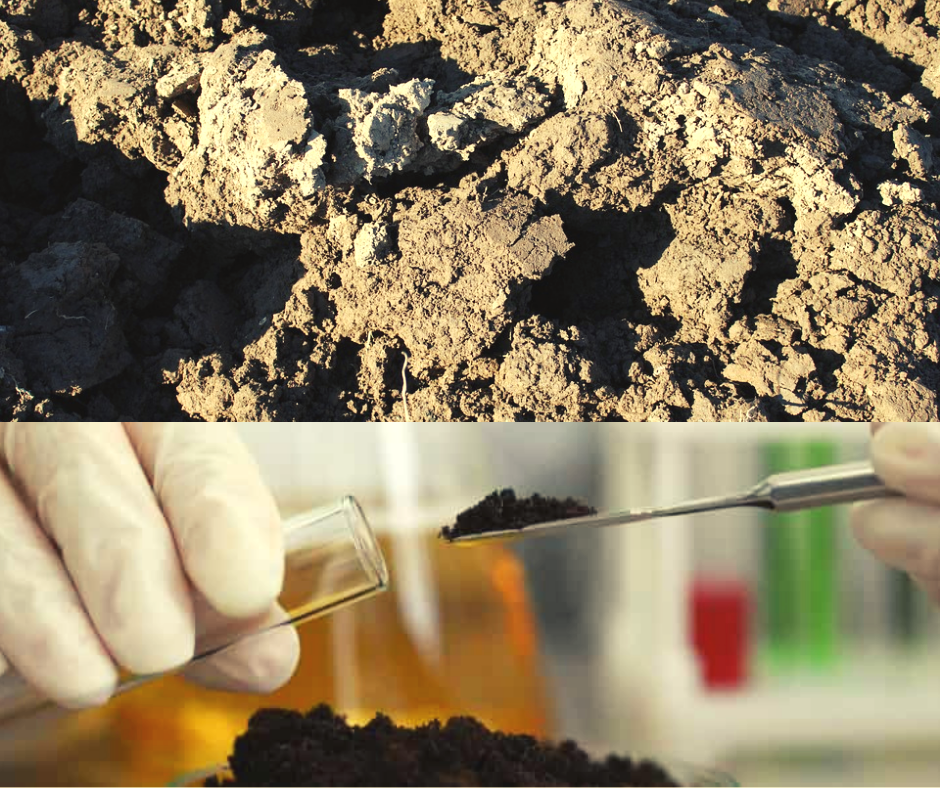 
          ANALYSE DU SOL AGRICOLE,  POUR UNE BONNE GESTION DE LA FERTILITÉ 