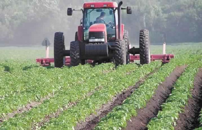 
          Agriculture Maroc