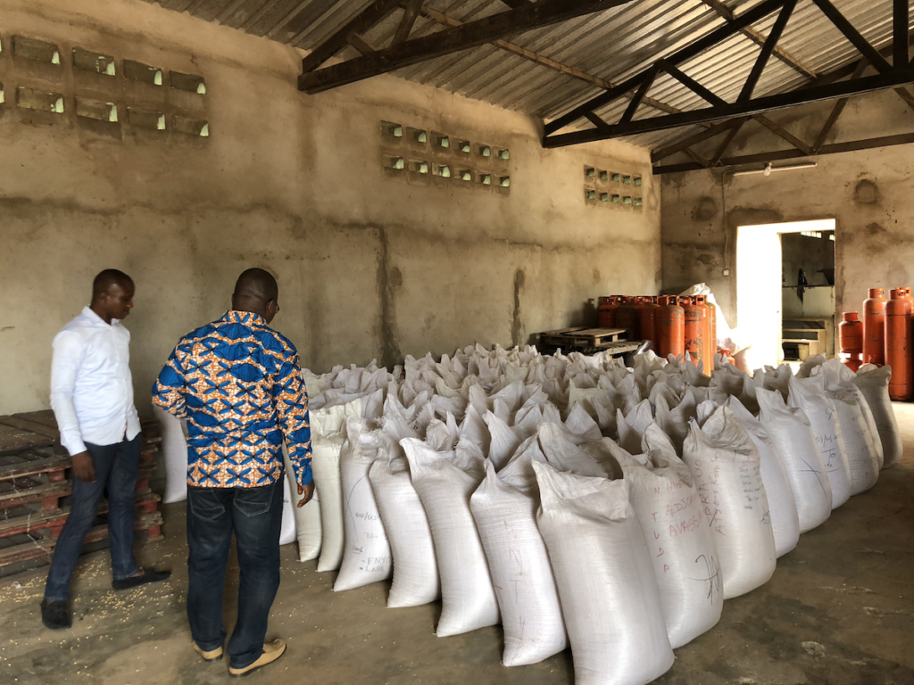 
          Soja biologique au Togo
