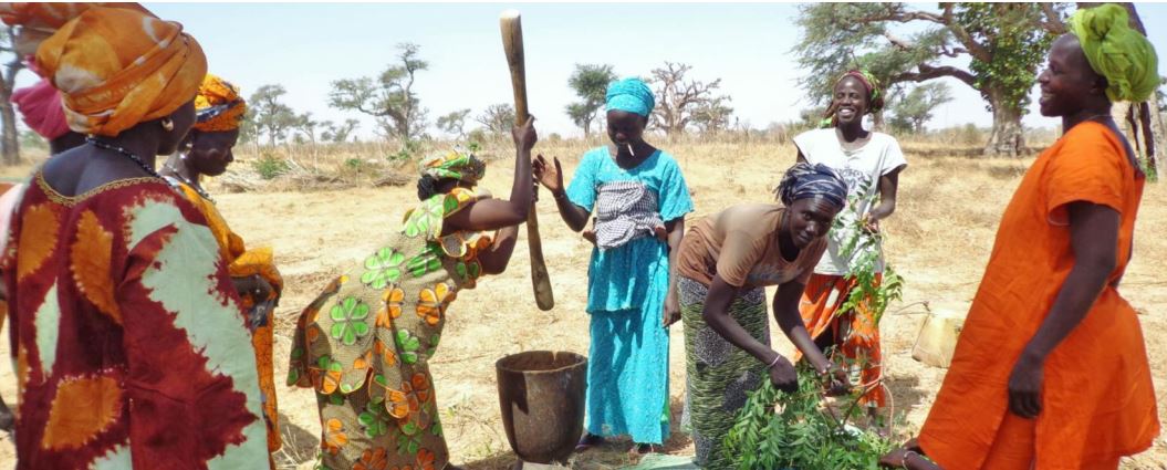 
          Agriculture durable