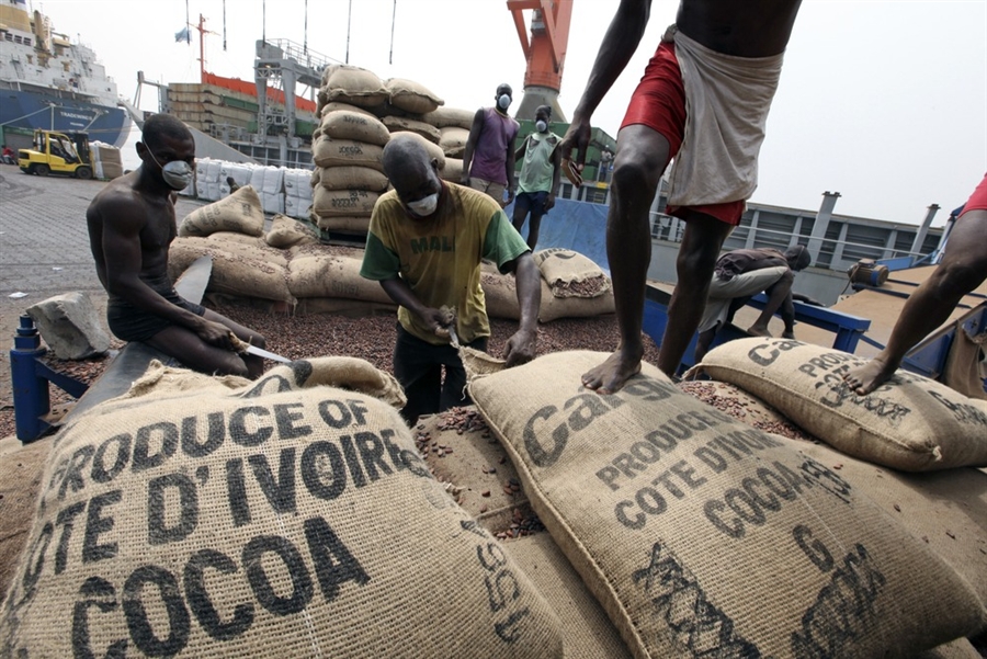 
          Cacao, cajou, coton