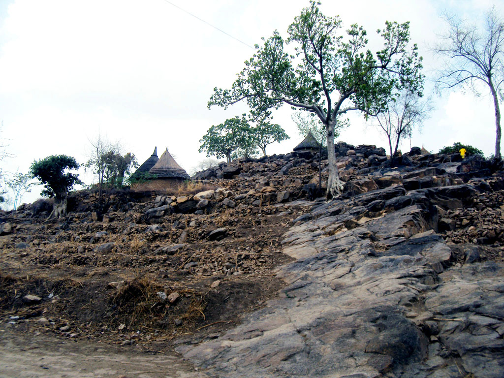 
          L’agroécologie