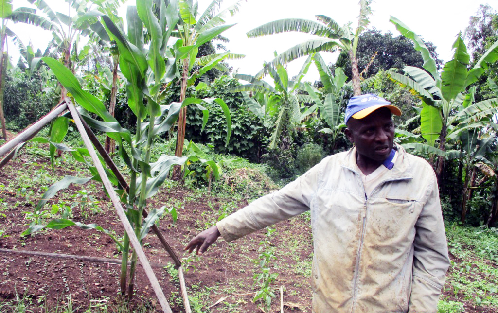 
          L’agroécologie 