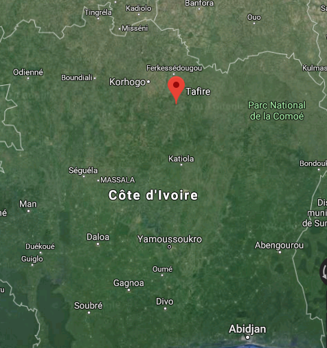 
          Noix de cajou