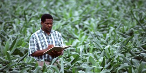 
          Financement agricole