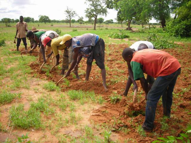 
          Financement agricole