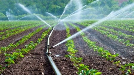 
          L’agriculture africaine 