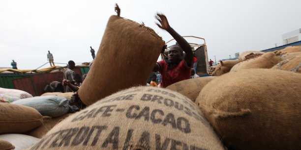 
          Les plantations de cacao 
