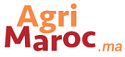 
          Agriculture Maroc