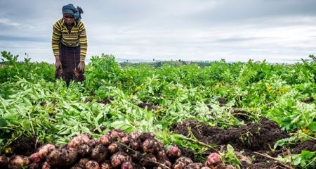 
          Financement agricole 