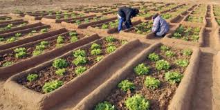
          Financement agricole 