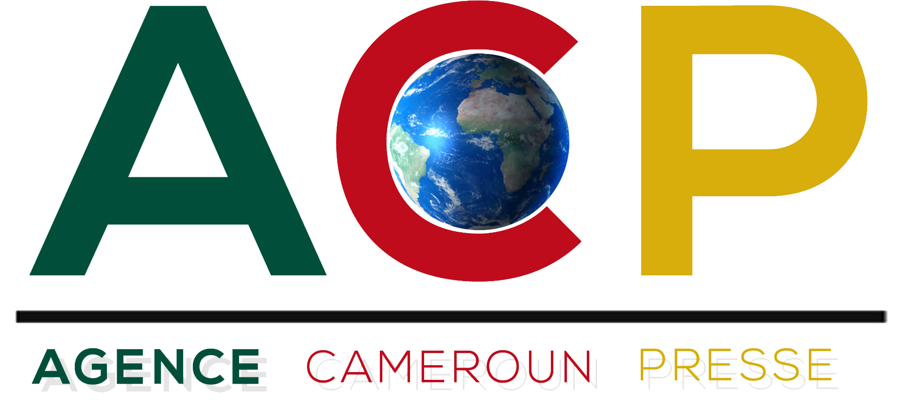 
          L’anacarde