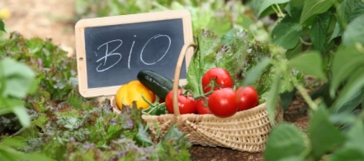 
          L’agriculture biologique 