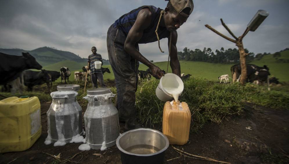
          Mécanisation de l’agriculture