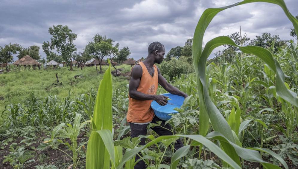 
          L’agriculture durable et l'intensification agricole