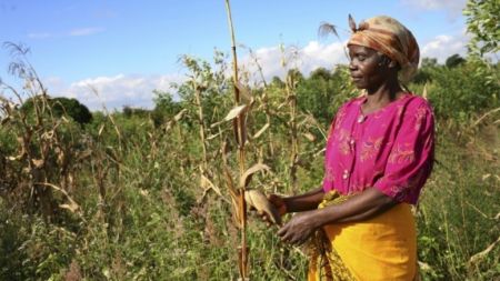 
          Financement agricole 
