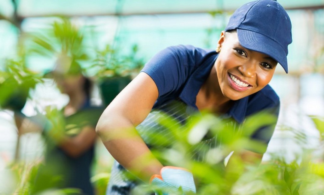 
          Financement Agricole  