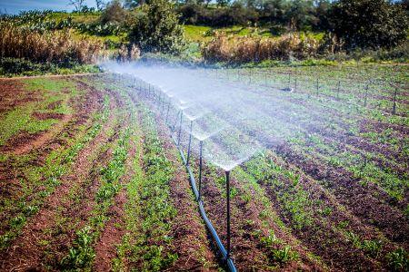 
          Transformation agricole en Afrique 