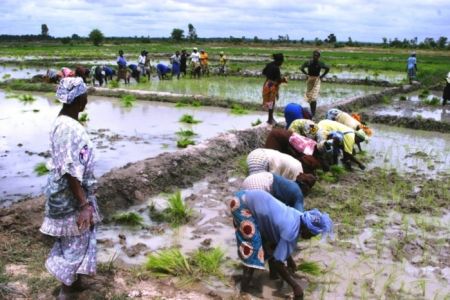 
          Financement agricole