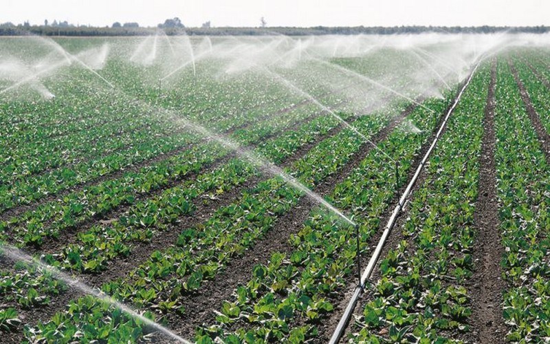 
          Productivité Agricole 