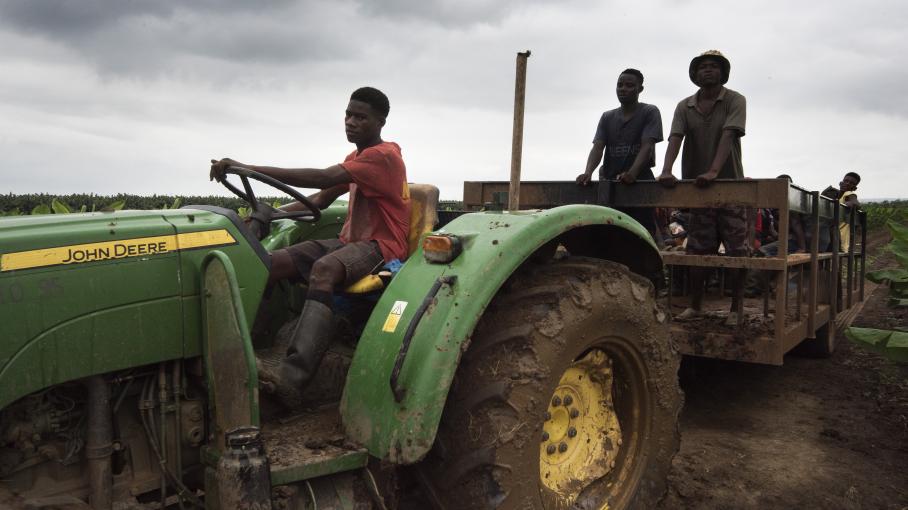 
          Productivité agricole 