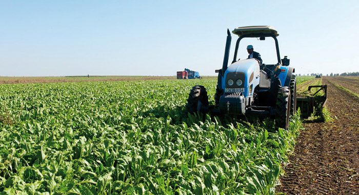 
          Financement agricole 