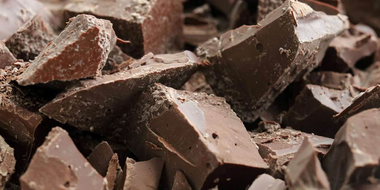 
          Cacao et forêts.