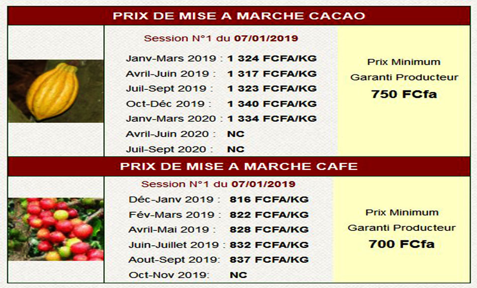 
          Café-cacao