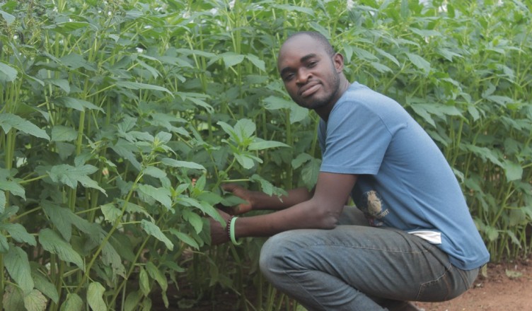
          Formation agricole