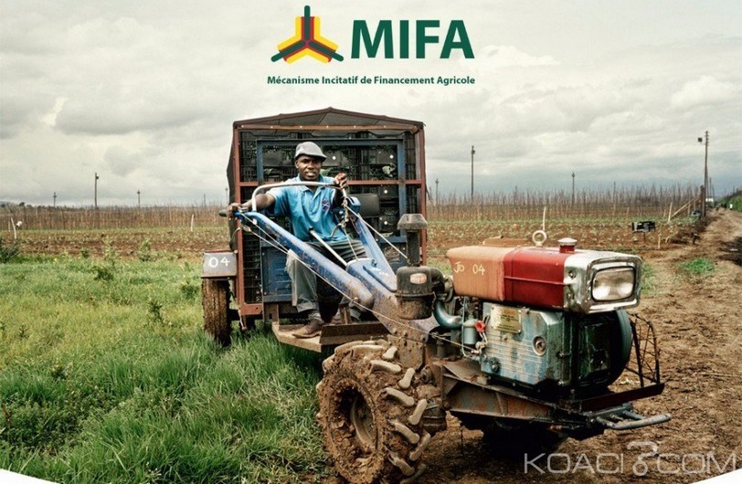 
          Projet agricole au Togo