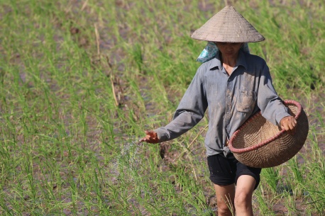 
          Technologie et agriculture 