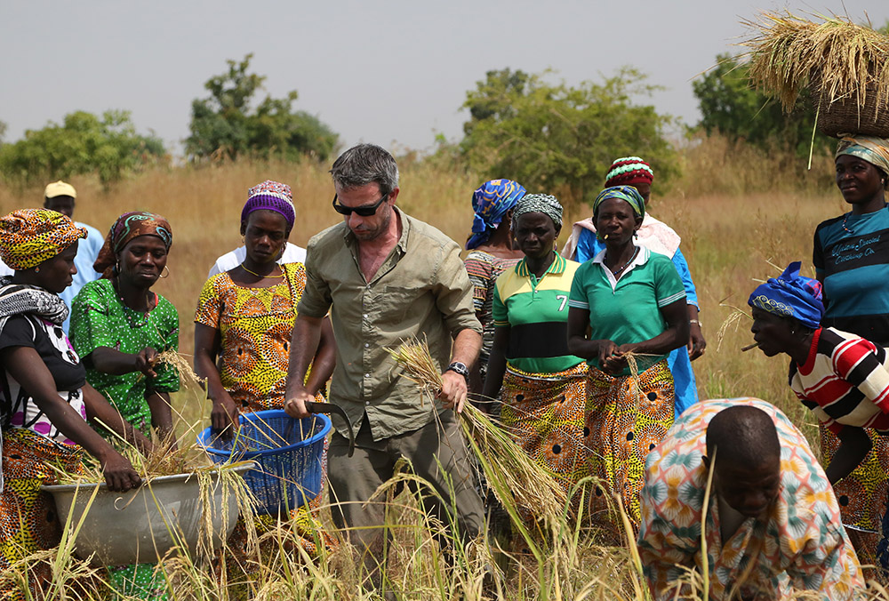 
          Financement agricole 