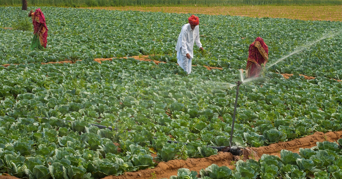 
          Changement climatique et agriculture 