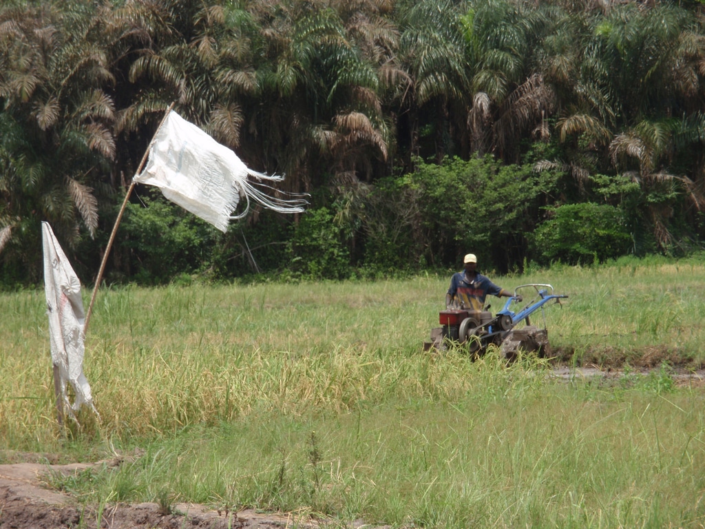 
          Système d’irrigation