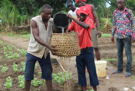 
          Entrepreneuriat agricole 