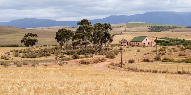 
          Technologie et agriculture 