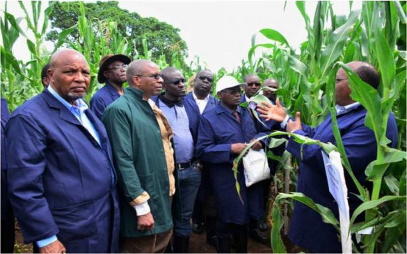 
          Technologie et agriculture