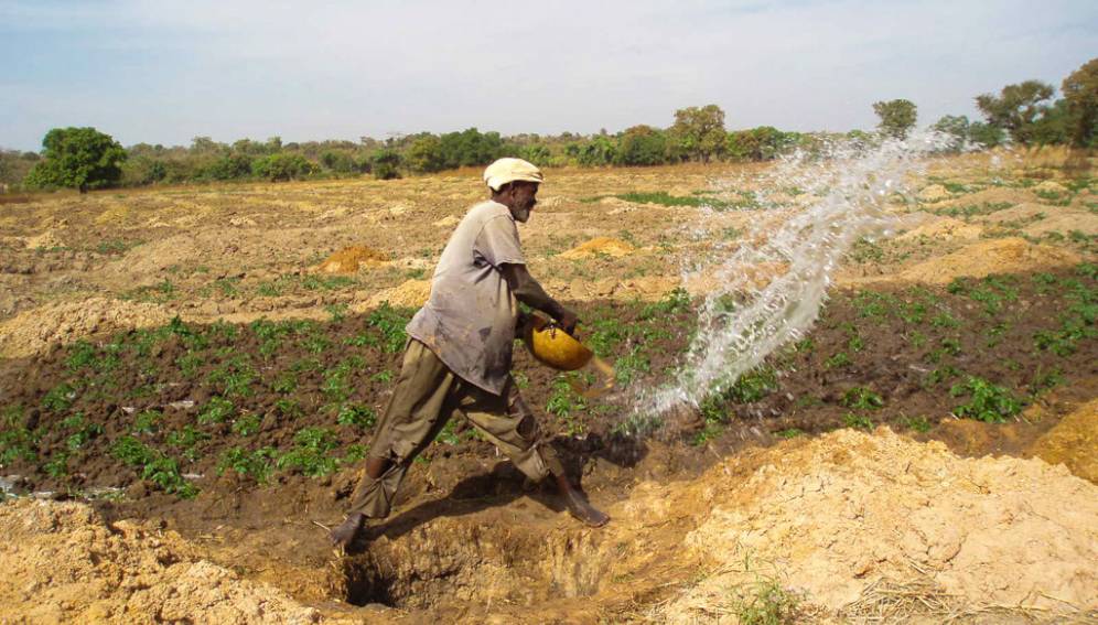
          Exploitation agricole